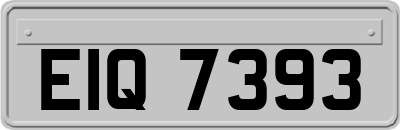 EIQ7393