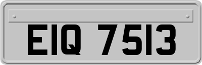 EIQ7513