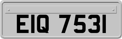 EIQ7531