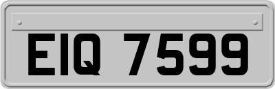 EIQ7599