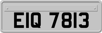 EIQ7813