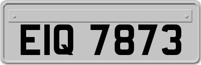EIQ7873