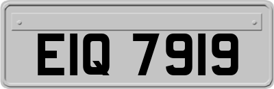 EIQ7919