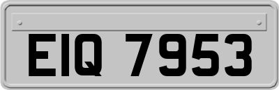 EIQ7953