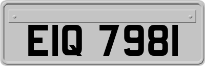 EIQ7981