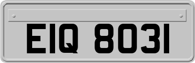 EIQ8031