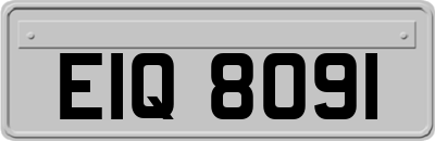 EIQ8091