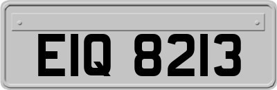 EIQ8213