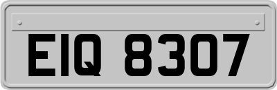EIQ8307