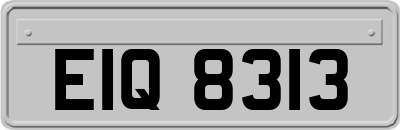 EIQ8313