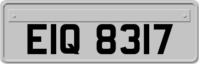 EIQ8317