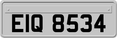 EIQ8534