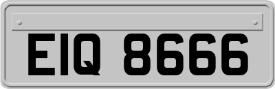 EIQ8666