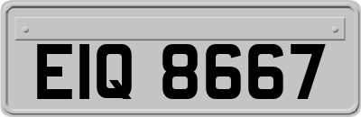 EIQ8667