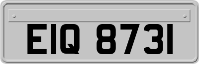 EIQ8731