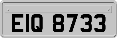 EIQ8733