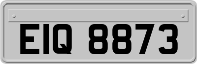 EIQ8873