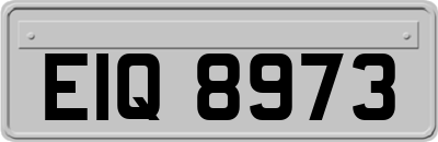 EIQ8973