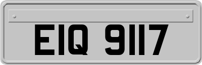 EIQ9117