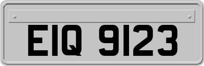 EIQ9123