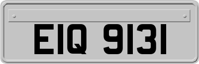 EIQ9131