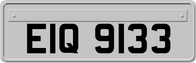 EIQ9133