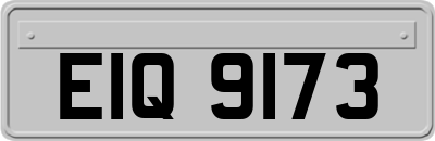 EIQ9173