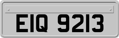 EIQ9213