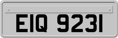 EIQ9231