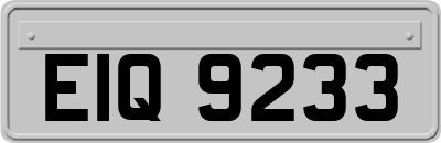 EIQ9233