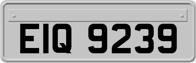 EIQ9239