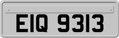 EIQ9313