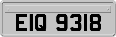 EIQ9318
