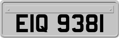 EIQ9381