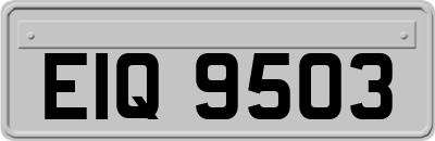 EIQ9503