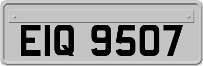 EIQ9507