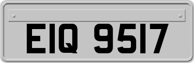 EIQ9517