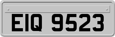 EIQ9523