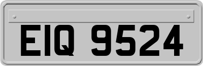 EIQ9524