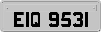 EIQ9531