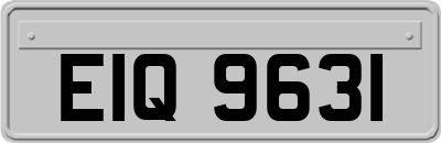 EIQ9631