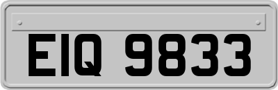 EIQ9833