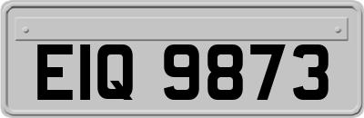 EIQ9873