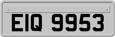 EIQ9953