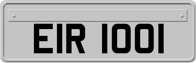 EIR1001