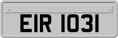 EIR1031