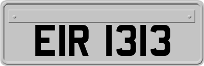 EIR1313