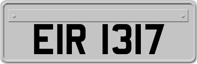 EIR1317