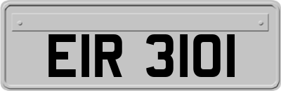 EIR3101