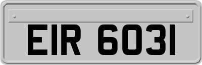 EIR6031